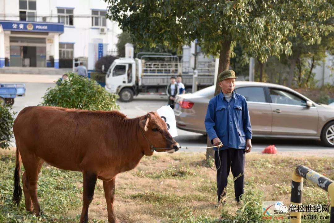 微信图片_20191019153633.jpg