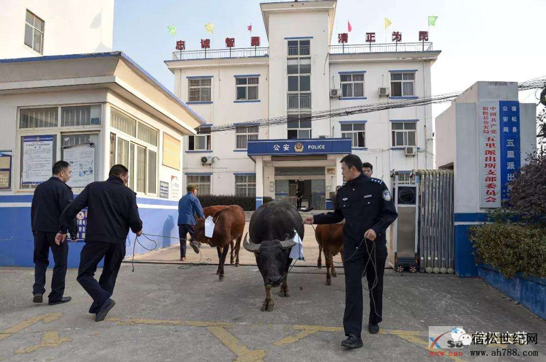 微信图片_20191019153641.jpg