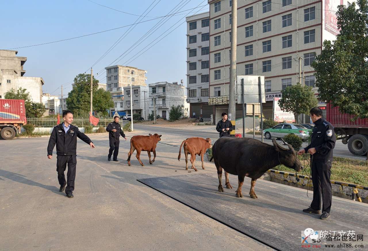 微信图片_20191019153654.jpg