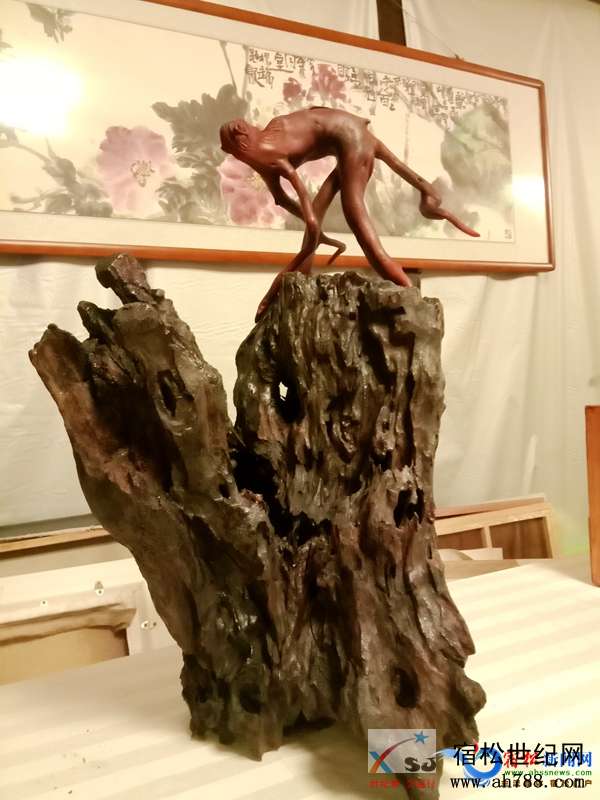 宿松县首届盆景根艺赏石展10月26日开幕 (3).jpg