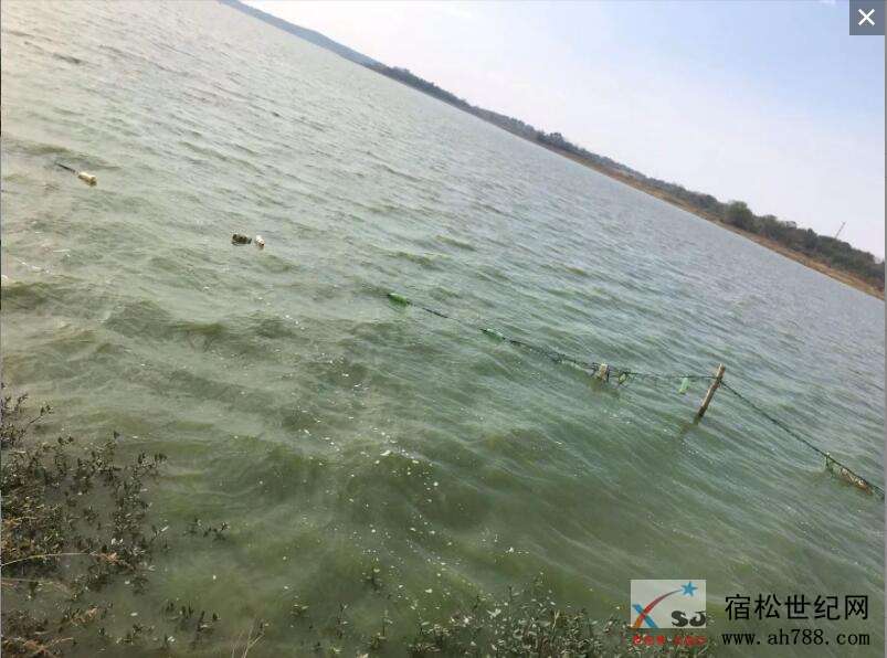 QQ截图20191029135101.jpg
