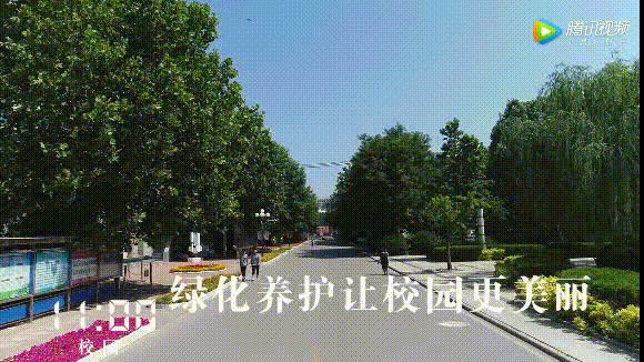 微信图片_20191111090441.gif