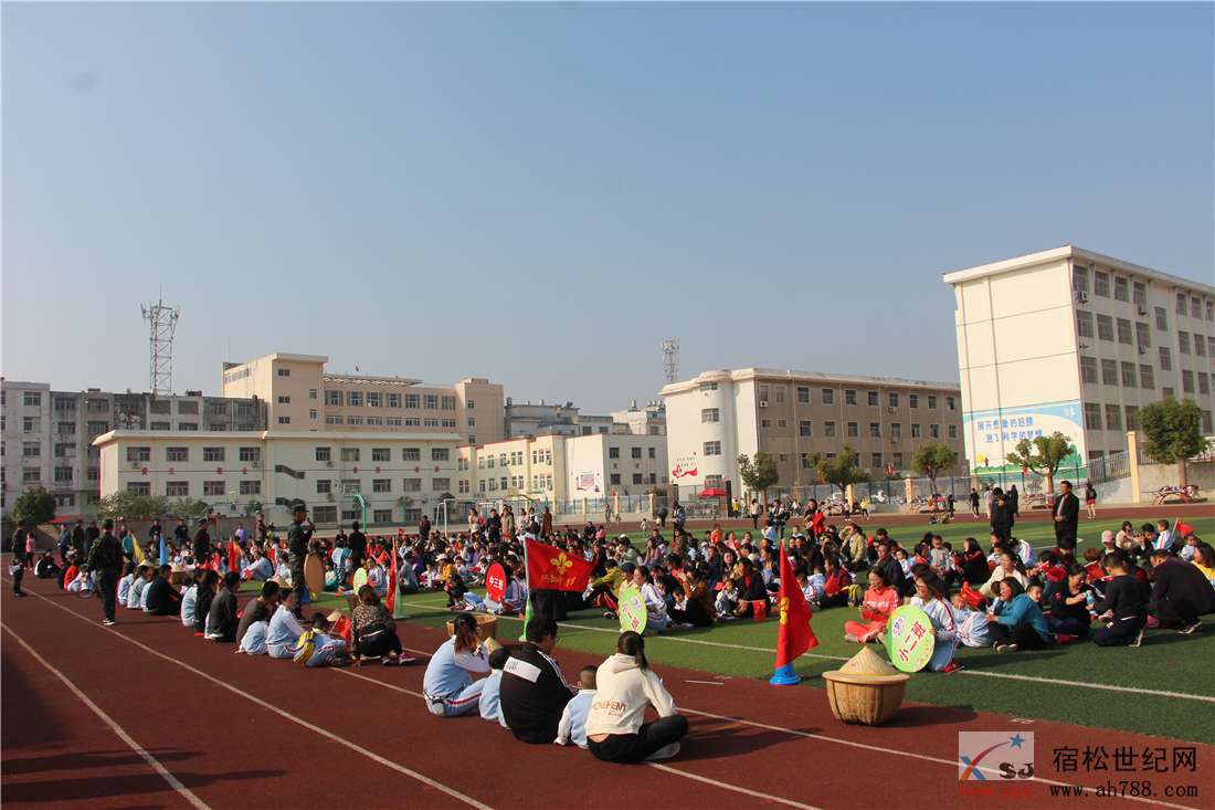 小小童心向祖国，宿松童梦湾幼儿园 (10).jpg