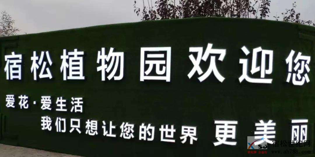 微信图片_20191114091547.jpg