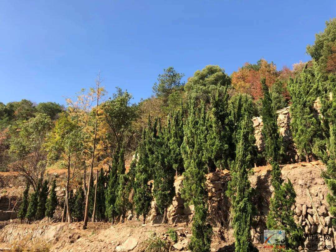 白崖寨风景名胜区温馨告示 (3).jpg
