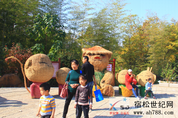 图片3_副本.png