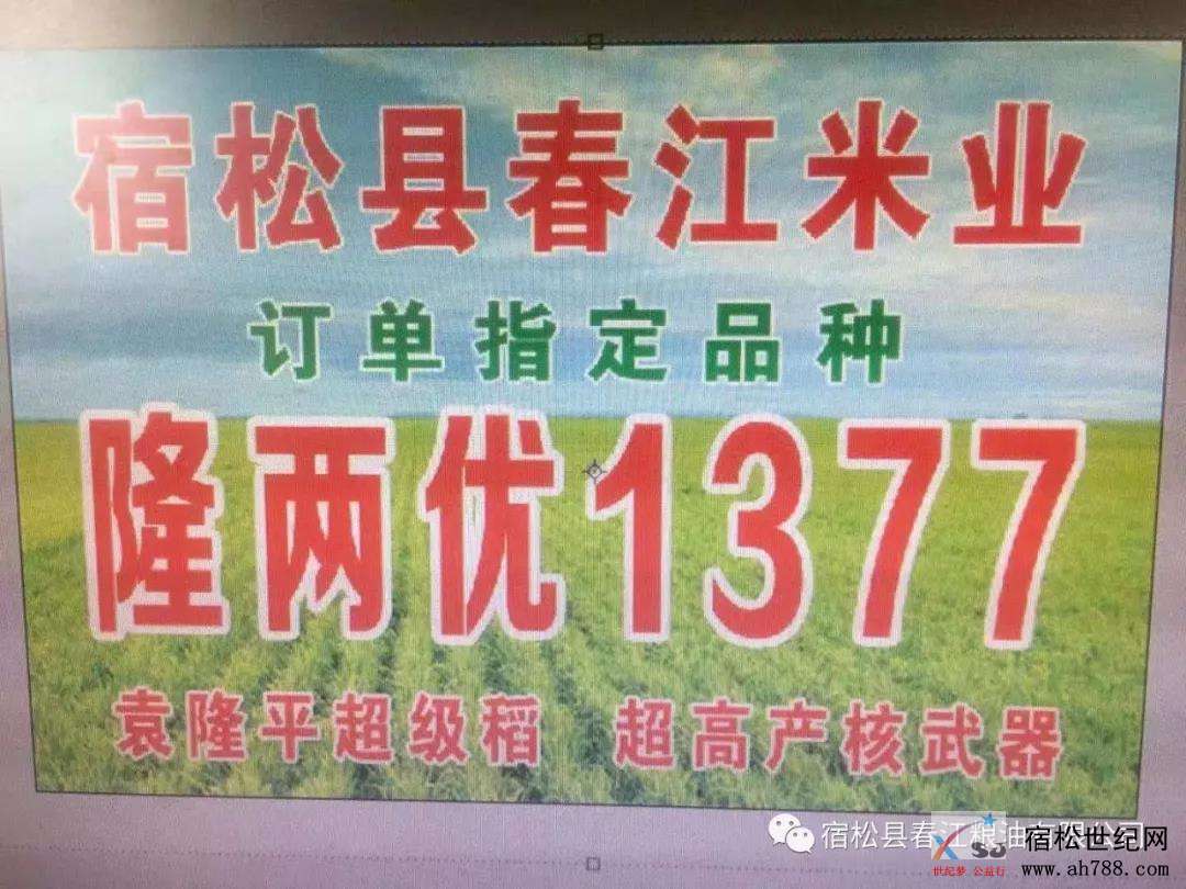 微信图片_20191124141300.jpg