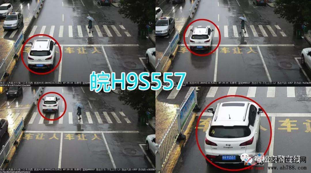 微信图片_20191127172847.jpg