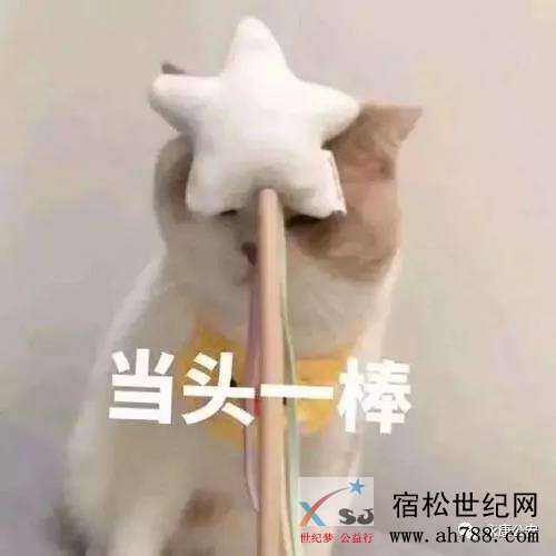 微信图片_20191203092018.jpg
