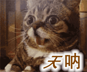 微信图片_20191203092014.gif