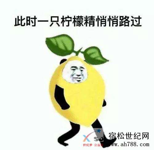 微信图片_20191203105621.jpg