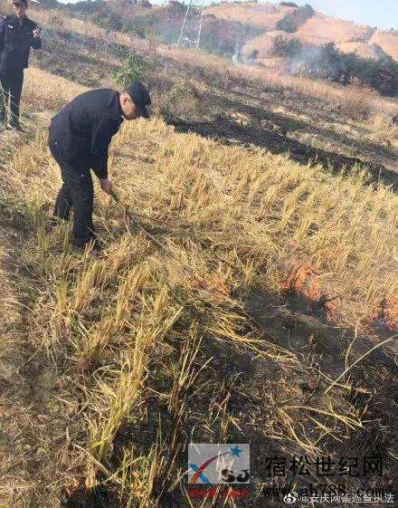 微信图片_20191203141731.jpg