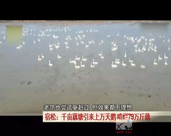 微信图片_20191209092148.jpg