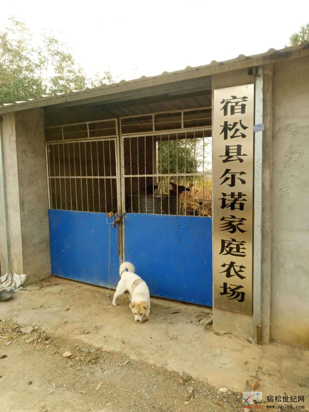 微信图片_20191211161847.jpg