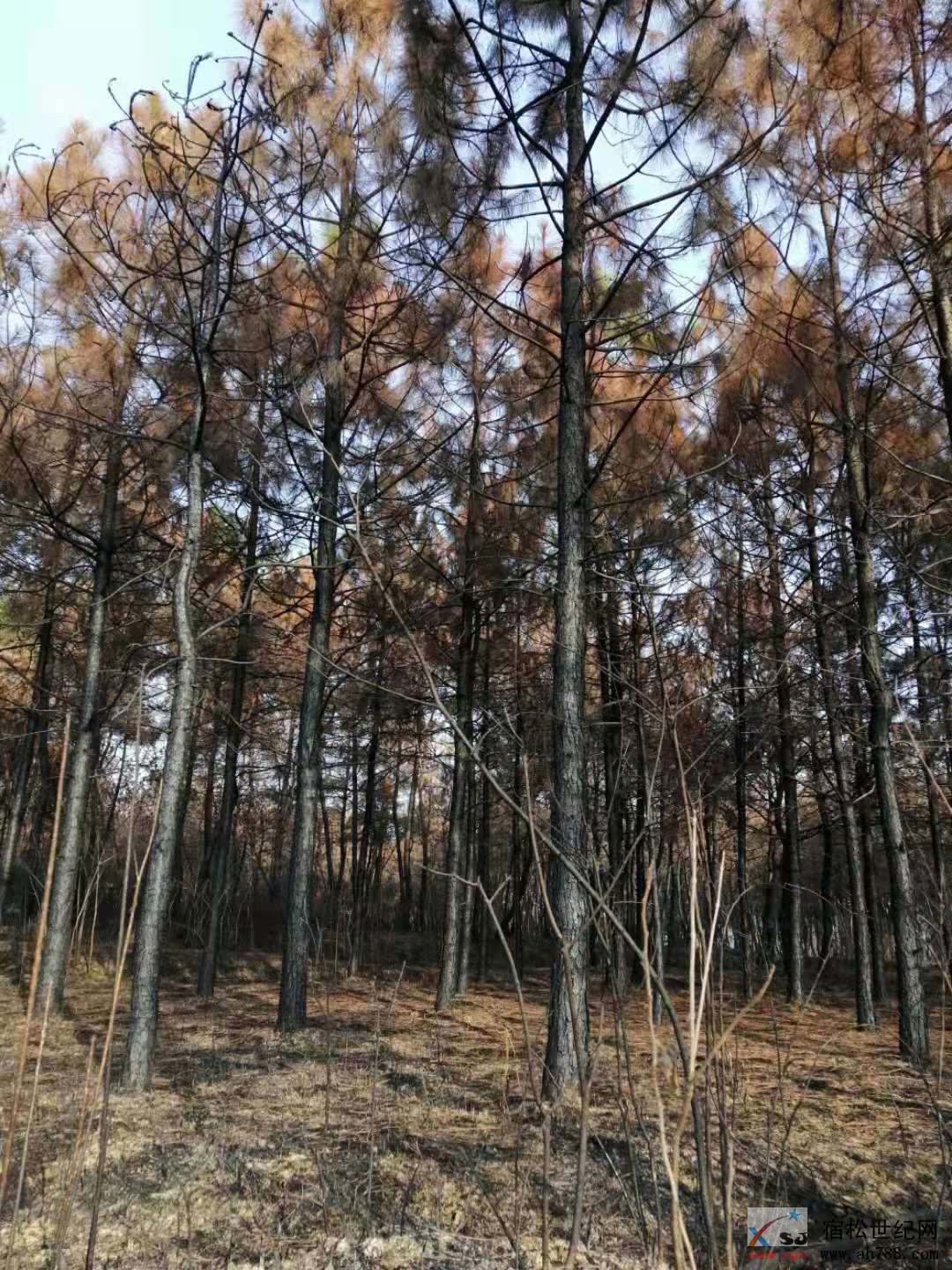 微信图片_20191212161320.jpg