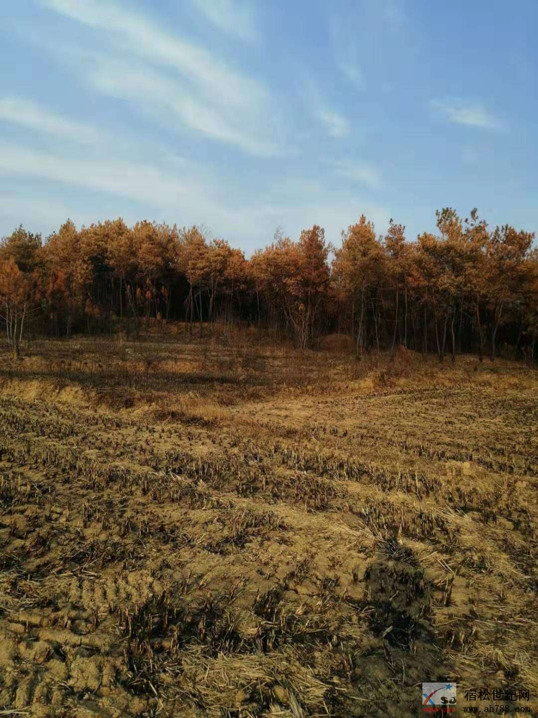 微信图片_20191212161327.jpg