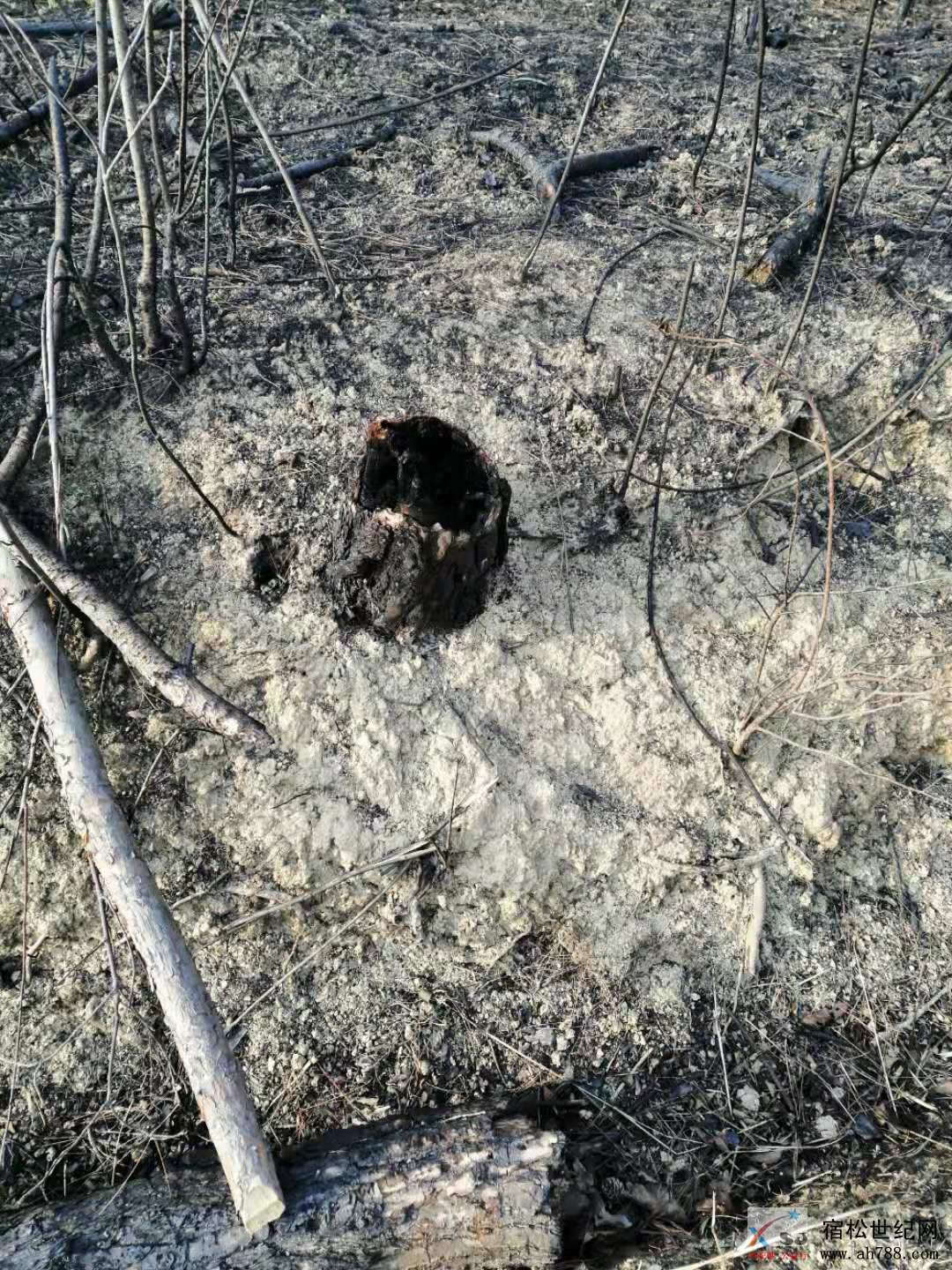 微信图片_20191212161330.jpg