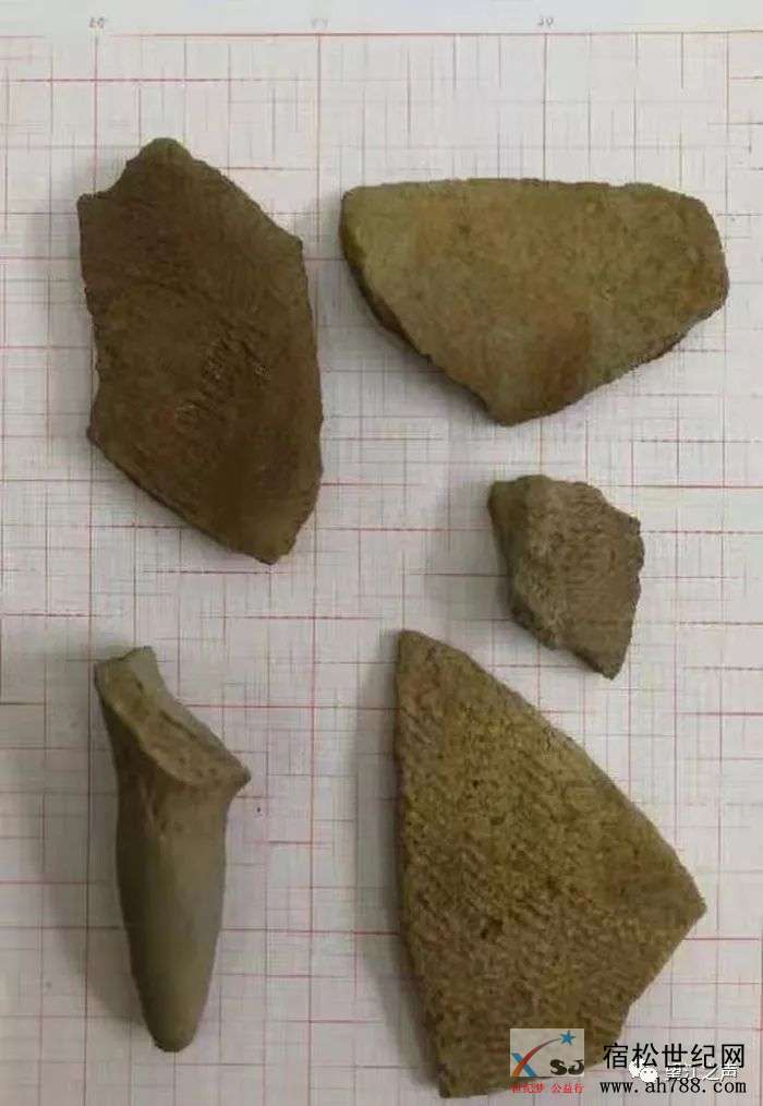 微信图片_20191214090020.jpg