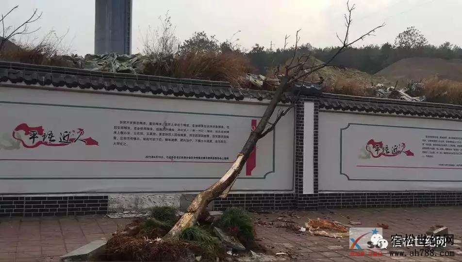 微信图片_20191215103816.jpg