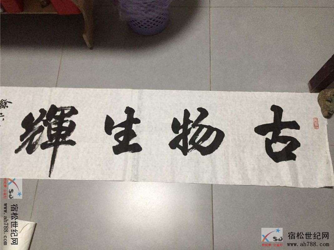 宿松六一 (1).png