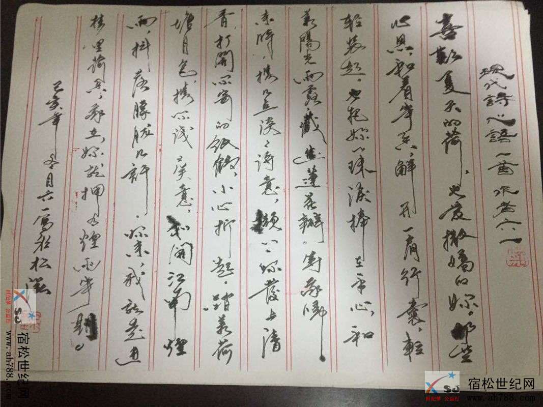 宿松六一 (2).png