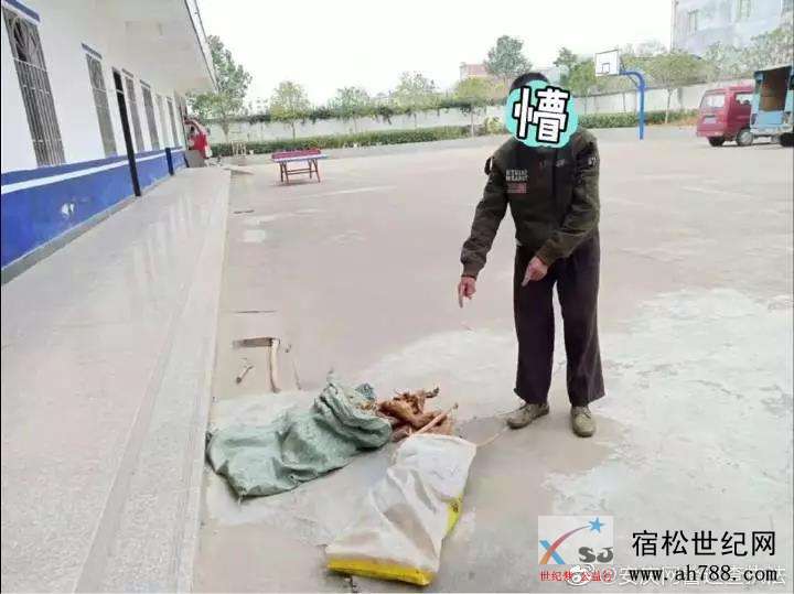 微信图片_20191224131643.jpg