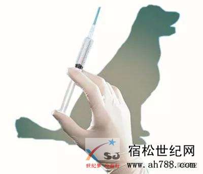 微信图片_20191224174629.jpg