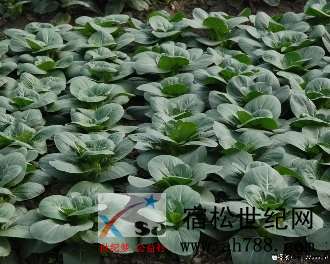 t014922c9eccb957c82.jpg