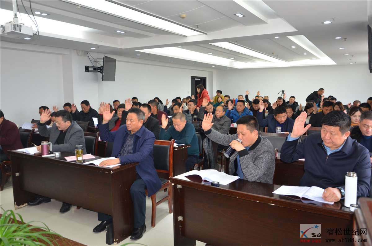 宿松房产开发协会会员代表大会选举会，宿松世纪网摄 (7).jpg