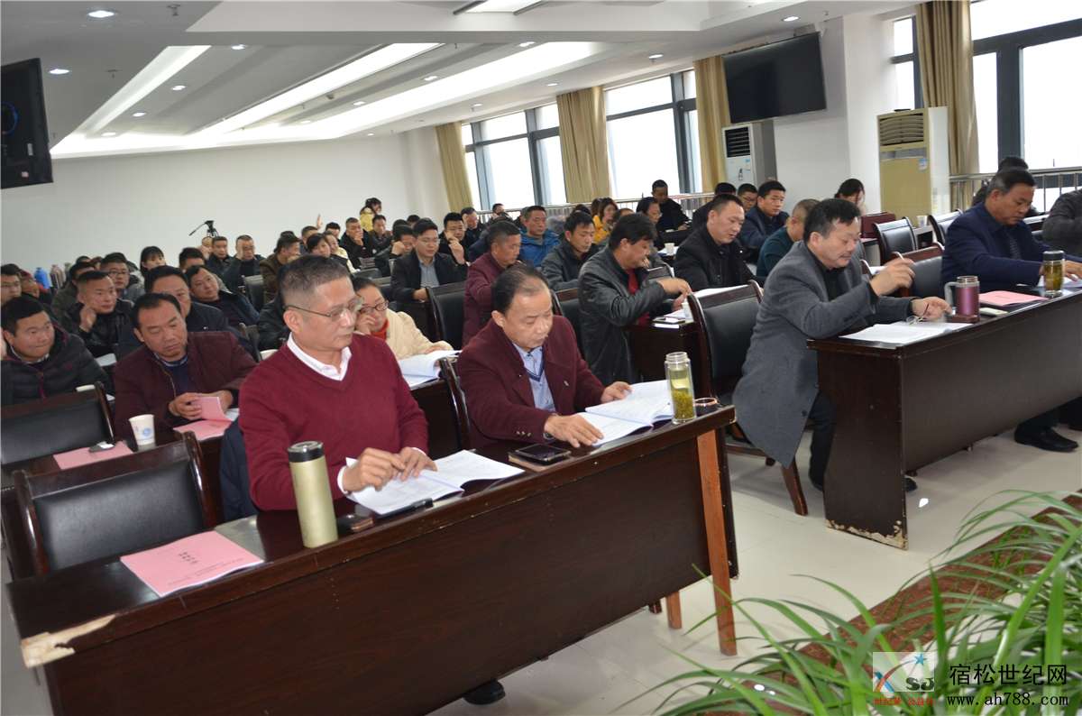 宿松房产开发协会会员代表大会选举会，宿松世纪网摄 (4).jpg