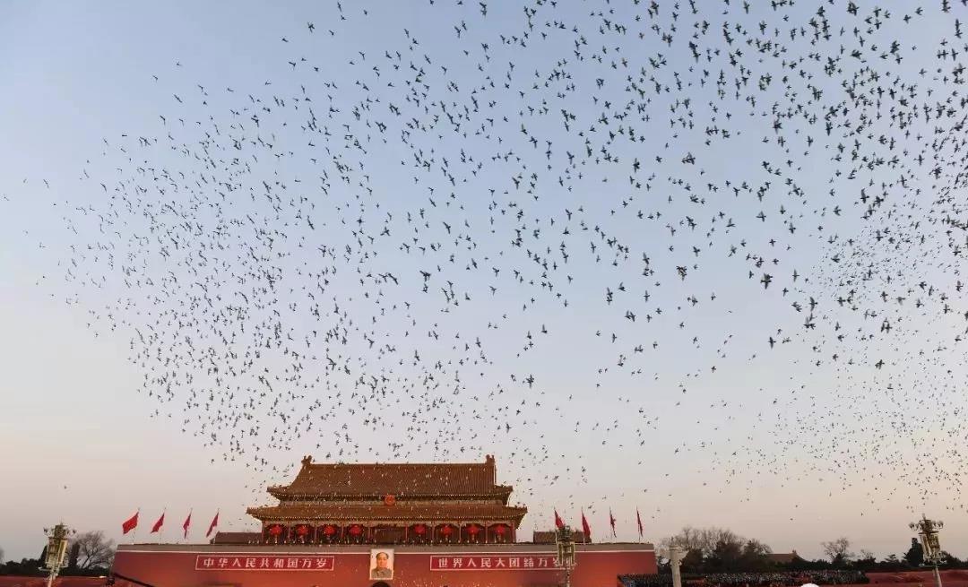 微信图片_20200102082749.jpg