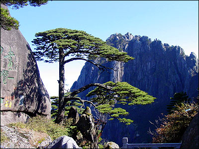 黄山.jpg