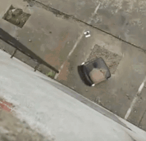 微信图片_20200107112300.gif