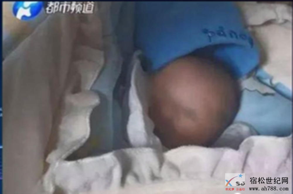 135214cspaobmbmiwxbgat_副本2.png
