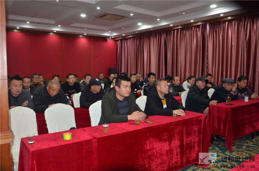 宿松世纪网公益协会03.jpg