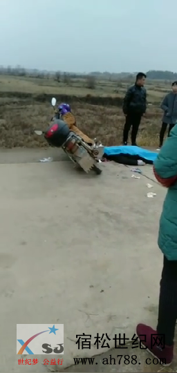 宿松阶交通事故.png