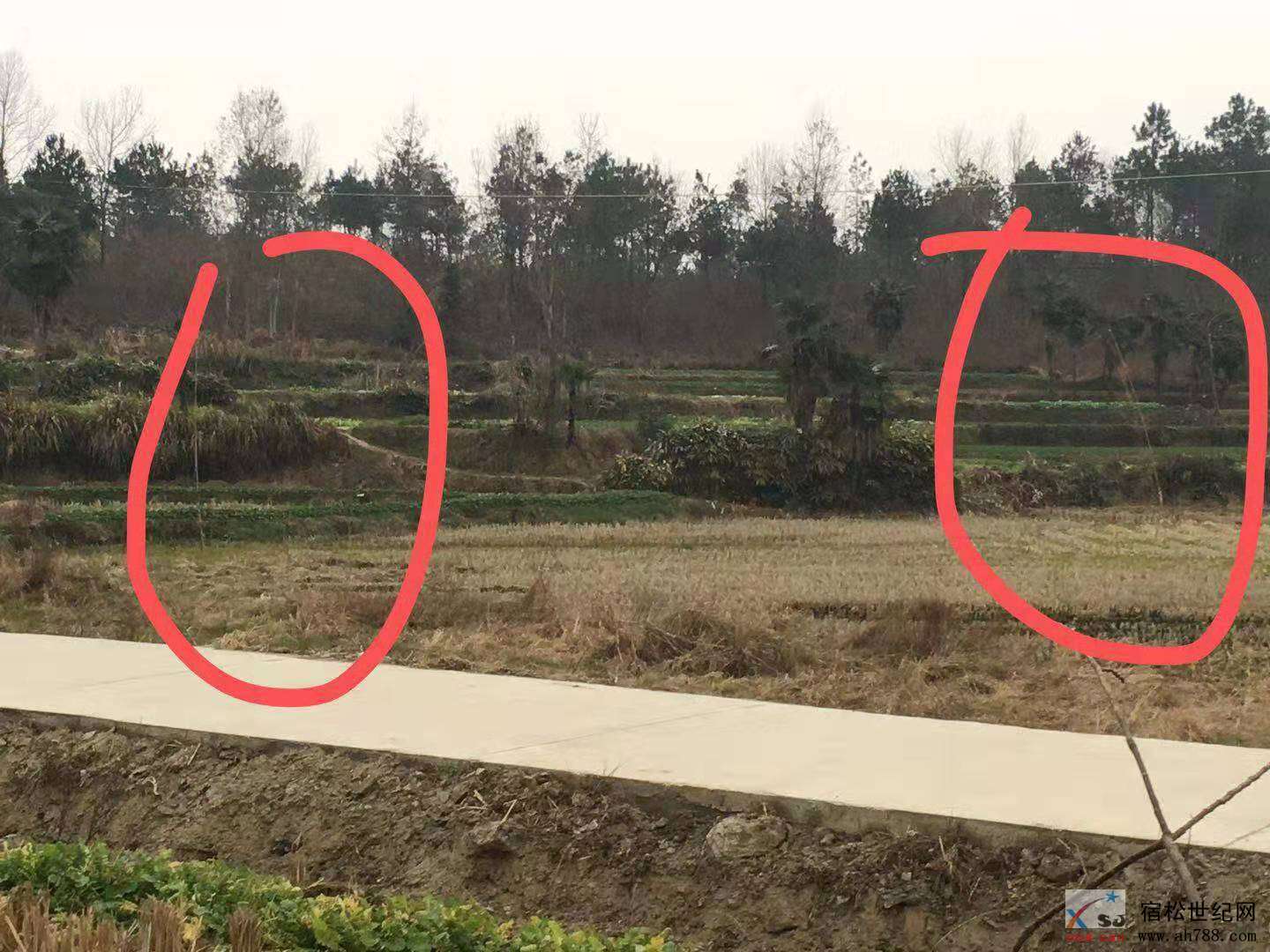 微信图片_20200205092014.jpg