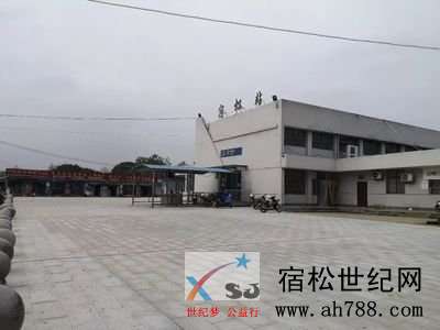 t0111f1250c5ff76dcf.jpg