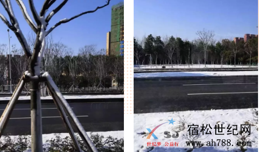微信截图_20200218165749.png