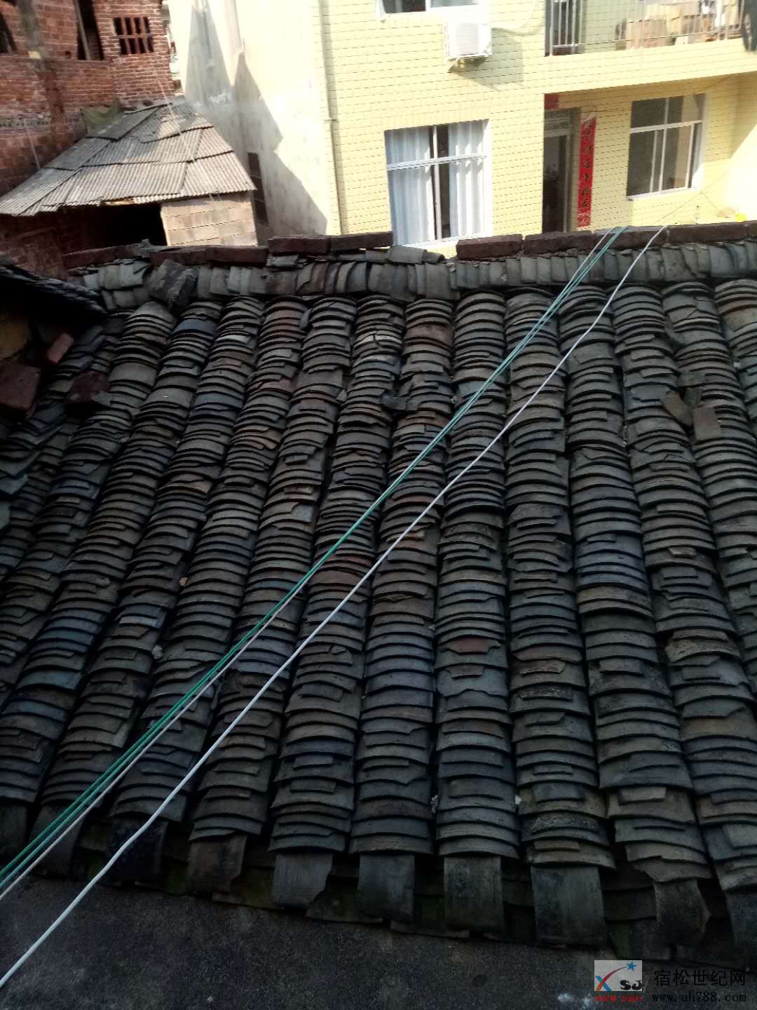 微信图片_20200225081534.jpg