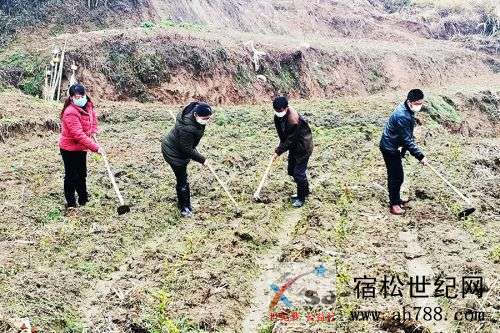 北浴乡迎宾村：保护生态就是保护饭碗 (3).jpg