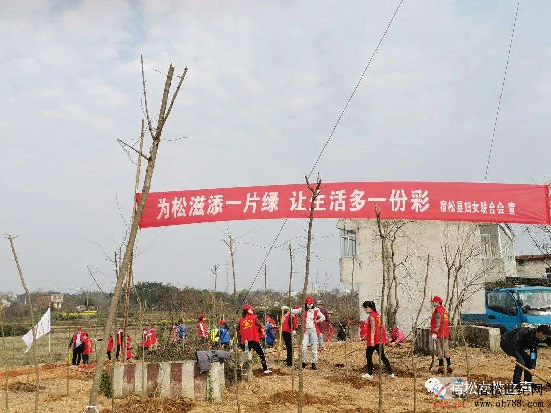 微信图片_20200312184350.jpg