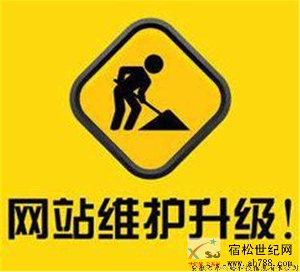 丐昂科技网站维护.jpg