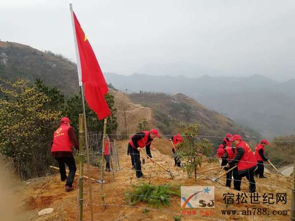 北浴：罗汉山村开展义务植树活动.jpg
