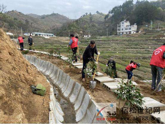 北浴乡：四吉村开展义务植树活动.jpg