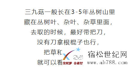微信图片_20200326110801.png