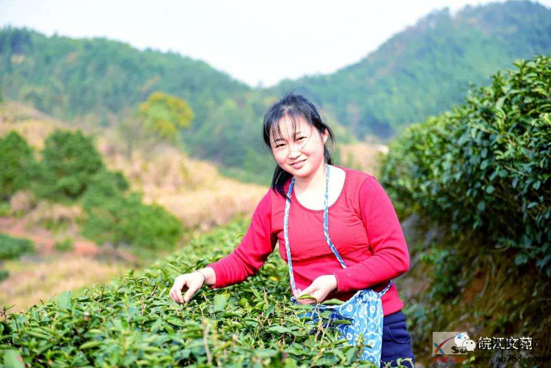微信图片_20200327091842.jpg