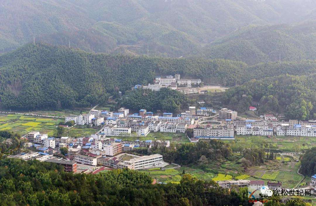 微信图片_20200327091823.jpg