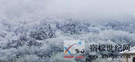 微信图片_20200328091240.jpg