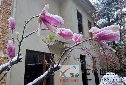 微信图片_20200328091249.jpg